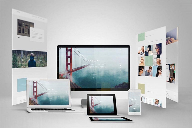 Best Website Development Company in Rajkot | Seawind Systems