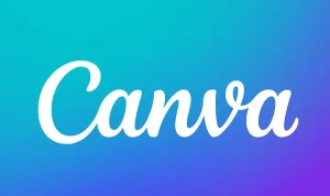 Canva Basics for Beginners | Website Development Company in Rajkot | Seawind Systems