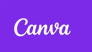 Professional Graphics with Canva | Graphics Designing in Rajkot | Seawind Systems
